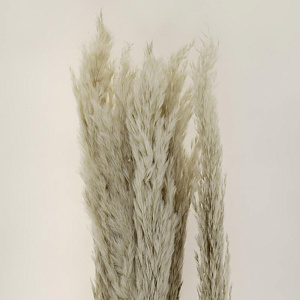 Цветок искусственный "Колос" сухоцвет 5шт 110см R011046 000000000001199236
