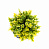 Цветок искусственный "Декоративно-лиственный"  10смR010461 000000000001189325