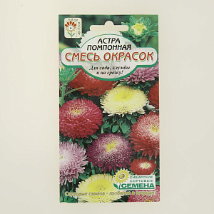 Семена Астра Помпонная, смесь 0,2г 60см (ссс) ЛИДЕР ПРОДАЖ! СС003259 пакет 000000000001183921