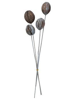 Сухоцветы 16x8x70см DE'NASTIA Гардения микс цветов 000000000001228196