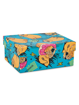 Коробка подарочная 17х13х7см РУТАУПАК КАПИБАРА прямоугольник голубой 000000000001226850