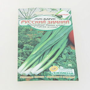 Семена Лук батун Русский зимний 0,5г Р (ссс) ЛИДЕР ПРОДАЖ! СС014115 пакет 000000000001195327