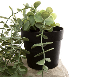 Цветок искуственный Ампельное растение эвкалипт 48см пластик 000000000001217059