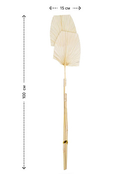 Сухоцветы 15x3x100см DE'NASTIA палочка пальмовая микс цветов 000000000001228213