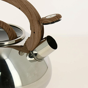 Чайник 3 свист Nature 5895MM-BG 000000000001186645