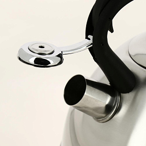 Чайник со свистком 3000мл GUTERWAHL нейлоновая ручка одинарное дно стенки корпуса 0,4мм дно 0,35мм подарочная упаковка нержавеющая сталь 126-18005 000000000001204045