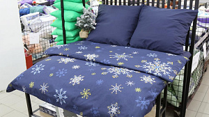 Комплект постельного белья "Этель" евро Зимние бабочки 200х215см, 220х240см, 70х70см-2шт, 100% хлопок поплин 4349477 000000000001202315