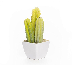 Цветок искусственный "Суккулент" 12-14смR010442 000000000001189307