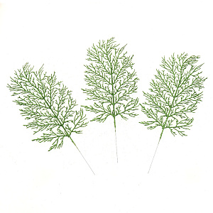 Набор веток Зелёная 3шт 37см R010555 000000000001191488