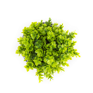 Цветок искусственный "Декоративно-лиственный"  10смR010461 000000000001189325