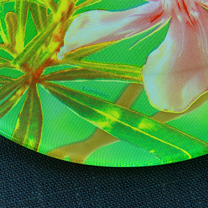 Столовый набор Freesia Luminarc, 19 предметов 000000000001062049