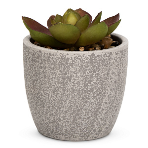 Цветок искусственный растение Суккулент Арья 8см в горшке 000000000001218500