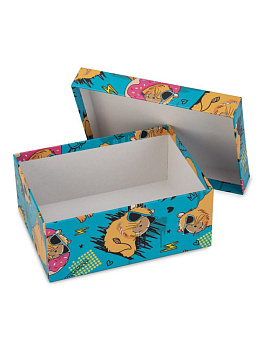 Коробка подарочная 17х13х7см РУТАУПАК КАПИБАРА прямоугольник голубой 000000000001226850