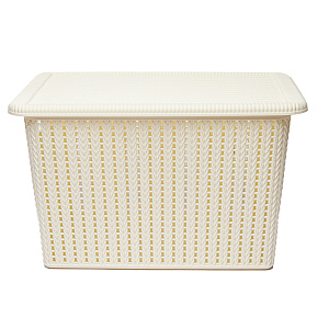 Корзина для хранения 37х26х22,3см с крышкой бежевый пластик 000000000001177294