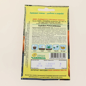 Семена Тыква Россиянка 1г Р (ссс) ЛИДЕР ПРОДАЖ! СС012517 пакет 000000000001195356