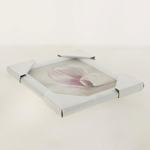 Репродукция 20/25 (1) мдф1 8С0555 000000000001162655