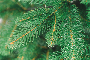 Ель искусственная 195см БИФОРЕС Дриада литая темно-зеленый ПВХ 000000000001214448