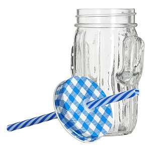 Кружка-банка 400мл Кактус стекло 000000000001170138