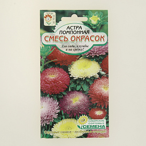 Семена Астра Помпонная, смесь 0,2г 60см (ссс) ЛИДЕР ПРОДАЖ! СС003259 пакет 000000000001183921