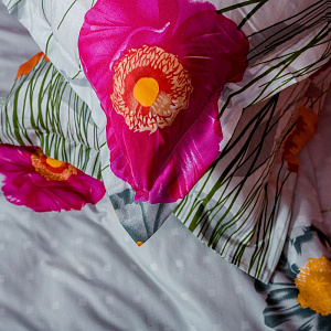 Комплект постельного белья 2спальное DE'NASTIA 100%Полиэстер (Пододеяльник 180х210см, Простынь 210х230см, Наволоски 70х70см-2шт) C020046 000000000001027076