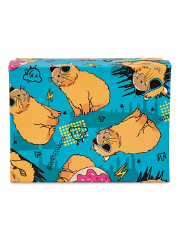 Коробка подарочная 17х13х7см РУТАУПАК КАПИБАРА прямоугольник голубой 000000000001226850