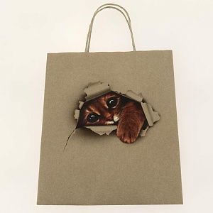 Сумка АРТ И ДИЗАЙН Крафт АВ бумажная 000000000001188938