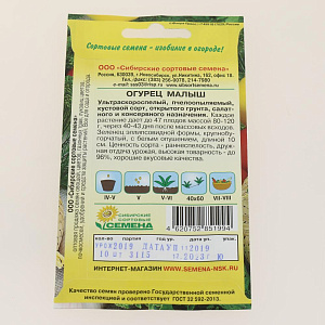 Семена Огурец Малыш 10шт пч Р (ссс) ЛИДЕР ПРОДАЖ! СС000217 пакет 000000000001195234