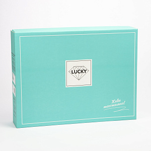 Комплект постельного белья Евро Пейсли (200х220,220х240,70х70-2шт) поплин хлопок 100% 000000000001214234