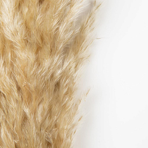 Цветок искусственный Сухоцвет Пампасная трава 1м 000000000001222193