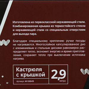Кастрюля 2,5-2,9л SWEET HOME Бордо стекляннная крышка силиконовые вставки на ручках нержавеющая сталь 000000000001182941