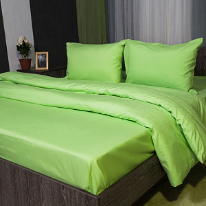 Простынь DE'NASTIA 150х215см салатовый 100%Микрофибра C010307 000000000001109593