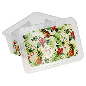 Контейнер Ананасы Полимербыт, 1.65л, пластик 000000000001171754