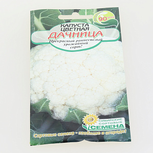 Семена Капуста Дачница цветная 0,3г Р (ссс) ЛИДЕР ПРОДАЖ! СС011359 пакет 000000000001195324