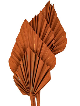 Сухоцветы 17x4x70см DE'NASTIA Лист пальмовый микс цветов 000000000001228198