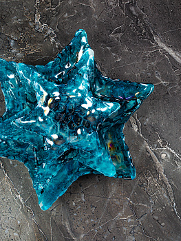 Блюдо сервировочное 25,5см EFE GLASS Морская звезда стекло 000000000001213509