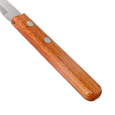 Нож для стейка 12,5см TRAMONTINA Dynamic с зубцами нержавеющая сталь 000000000001201494