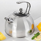 Чайник 2,5л TALLER Гордон матовая полировка нержавеющая сталь