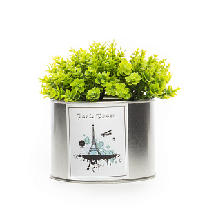 Цветок декоративно-лиственный 12см R010464 000000000001189328