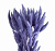 Цветок искусственный Лагурус 60-70см сухоцвет 000000000001216384