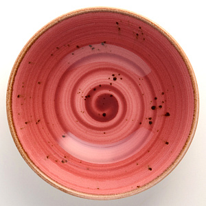 Набор столовой посуды 24 предмета TULU PORSELEN Deniz BORDO фарфор 000000000001210097