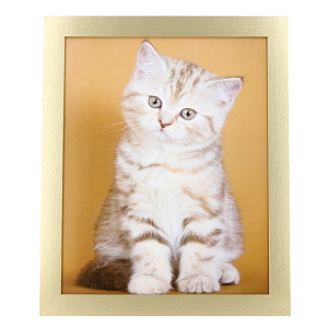 Постер Животные Постер-Лайн, 30х40 см 000000000001092626