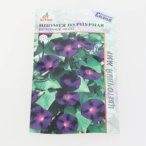 "Ипомея пурпурная Вечернее небо 1г*  
Нидерланды" 000000000001137643
