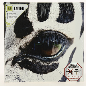Картина "Глаз зебры" 350*350КК35/35-5/5.1 000000000001166223
