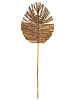 Сухоцветы 22x2x75см DE'NASTIA лист плетеный натуральный