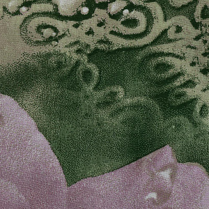 Наволочка Флорентина, 50х70 см 000000000001175851