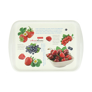 Поднос прямоугольный 435х305мм PLAST TEAM PT9215 000000000001064990