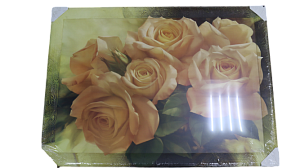 Репродукция 70х100см ДЕКАРТ д8С0030 000000000001162700