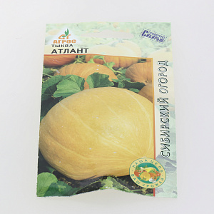 Семена пакет Тыква Атлант 3шт 000000000001002349