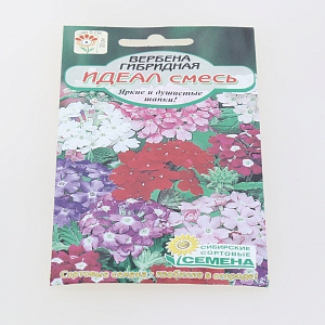Семена Вербена Идеал, смесь гибридная 0,1гр (ссс) ЛИДЕР ПРОДАЖ! СС015002 пакет 000000000001183924