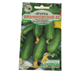Семена Огурец Вязниковский 37 0,5г Р пч (ссс) ЛИДЕР ПРОДАЖ! СС012494 пакет 000000000001195231